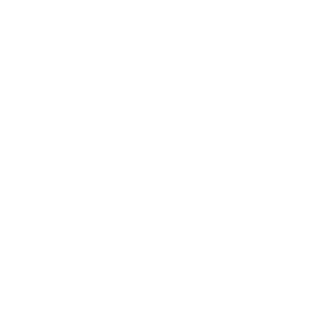 Dicus Media Group